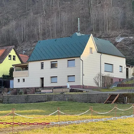 아파트 Am Elberadweg Mit Sauna & Kamin - Natur, Erholung & S-bahn-anbindung - Saxon Oase 피르나